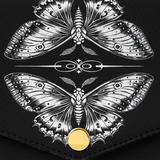 "Mothwing" Envelope Chain Crossbody Bag